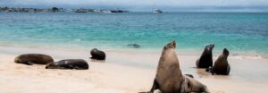 viajes exclusivos a las Islas Galápagos