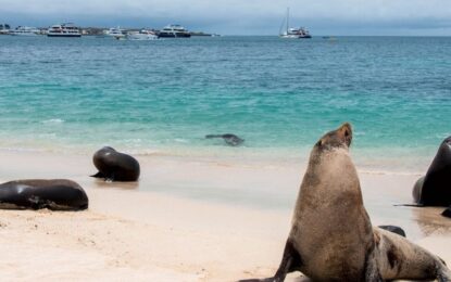 Tour en Islas Galápagos