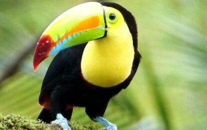 COSTA RICA