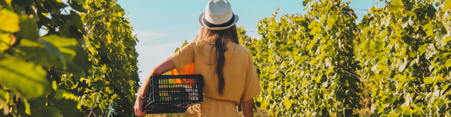 Como planificar tu viaje sola